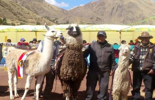 Todo listo para la Feria Nacional Agropecuaria “Meseta del Bombón”