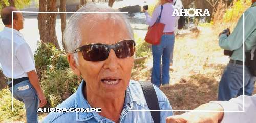 Denuncian tala indiscriminada en las riberas del río Huallaga