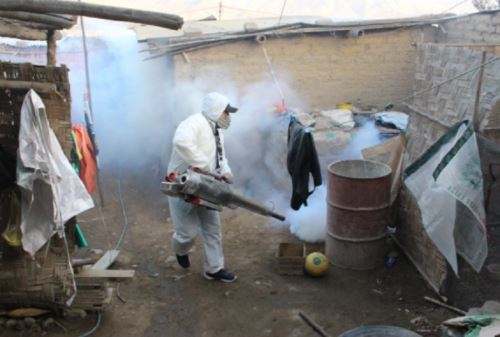 Huánuco y 14 regiones más recibirán S/ 16 millones para la lucha contra el dengue