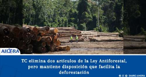TC elimina dos artículos de la Ley Antiforestal, pero mantiene disposición que facilita la deforestación