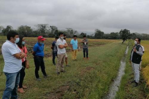 Capacitan a agricultores de Huánuco sobre producción de arroz