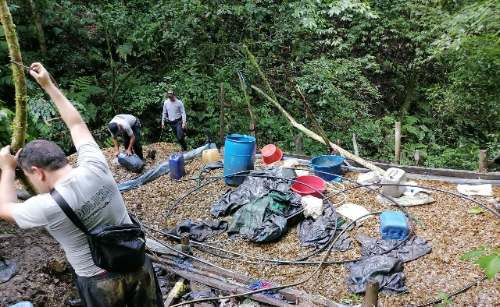 Incautan 84 kilos de droga y destruyen pozas de maceración