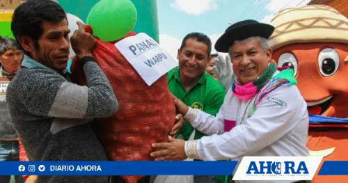 Gorehco entrega más de 3 toneladas de semillas de papa nativa a agricultores de Pachitea