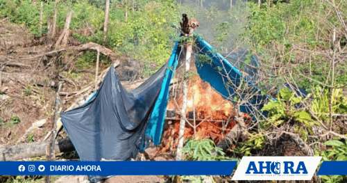 Destruyen campamentos de madereros ilegales en Leoncio Prado