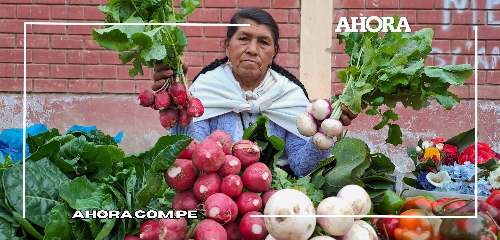 Ecoferia promueve el consumo de alimentos saludables y ecológicos en Amarilis