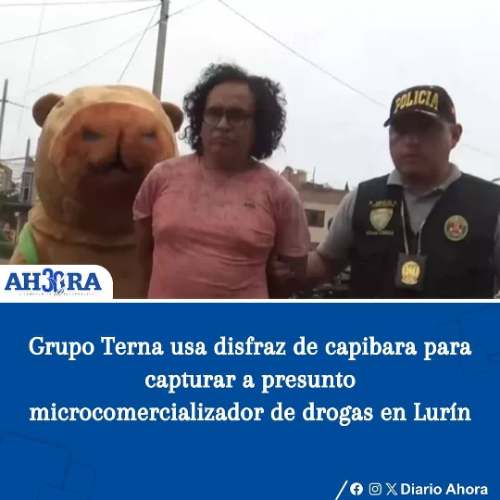 Grupo Terna usa disfraz de capibara para capturar a presunto microcomercializador de drogas en Lurín