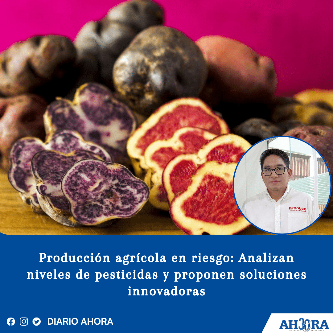 Producción agrícola en riesgo: Analizan niveles de pesticidas y proponen soluciones innovadoras