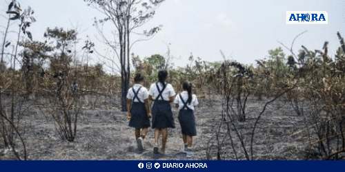 La niñez en peligro: El devastador impacto de incendios forestales y crisis hídrica en Perú