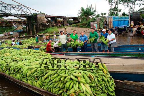 Plataneros adquieren planta envasadora de snacks