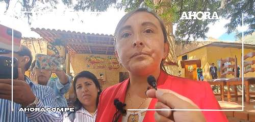 Admiten pedido de suspensión contra alcaldesa Diana Plejo del distrito de Pillco Marca