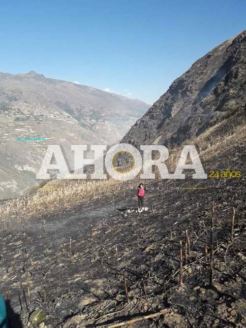 Incendio arrasa cultivos de trigo y maíz en Punchao