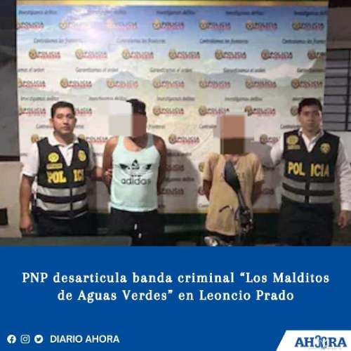 PNP desarticula banda criminal “Los Malditos de Aguas Verdes” en Leoncio Prado