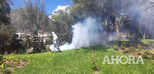 Inician campaña de fumigación para eliminar moscos negros en Huánuco