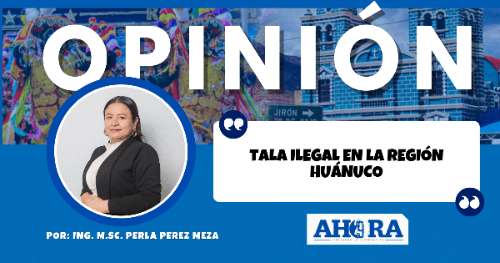 TALA ILEGAL EN LA REGIÓN HUÁNUCO