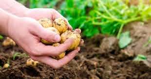 Nueva propuesta de ley agraria con prosperidad compartida