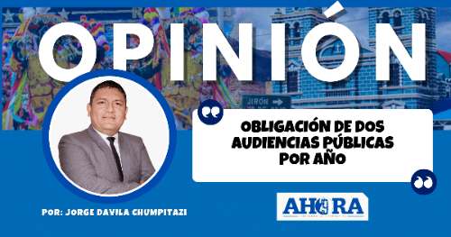OBLIGACIÓN DE DOS AUDIENCIAS PÚBLICAS POR AÑO