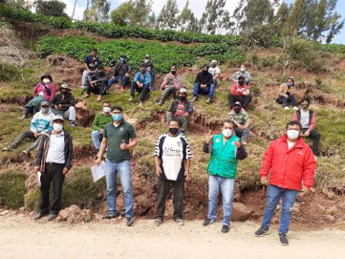 Productores de papa acceden a créditos del fondo Agroperú