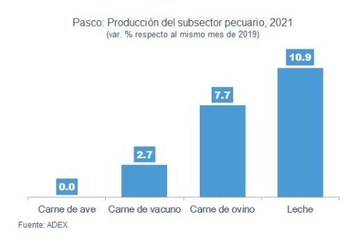 Pasco: Producción agropecuaria en cifras verdes