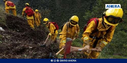 Sernanp controla el 95% de incendios forestales en áreas protegidas