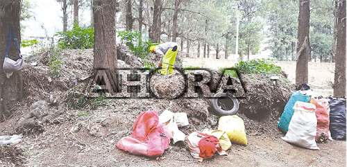Parques y jardines de Amarilis en crisis