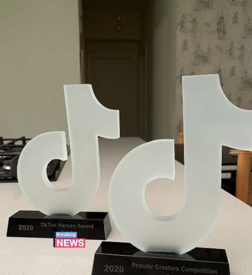 'TikTok' acaba de revelar la primer edición de los TikTok Awards