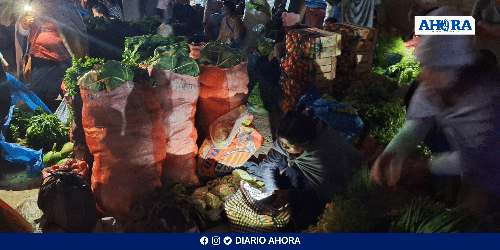Informe sobre el Tercer Monitoreo Ciudadano de Pesticidas en los Alimentos: Enfoque en Huánuco