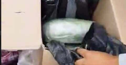 Chofer transportaba más de tres kilos de marihuana escondida en alimentos