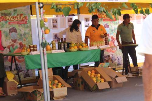 Productores huanuqueños participaron en XV Festival de la granadilla