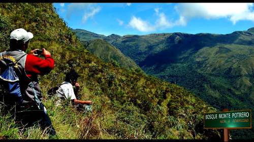 Umari se prepara para convertir el bosque Monte Potrero en producto ecoturístico
