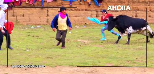 Vaca embravecida dejó heridos a tres espectadores en corrida de toros en Ripán