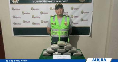 Incautan 10 kilos de marihuana en Cachicoto