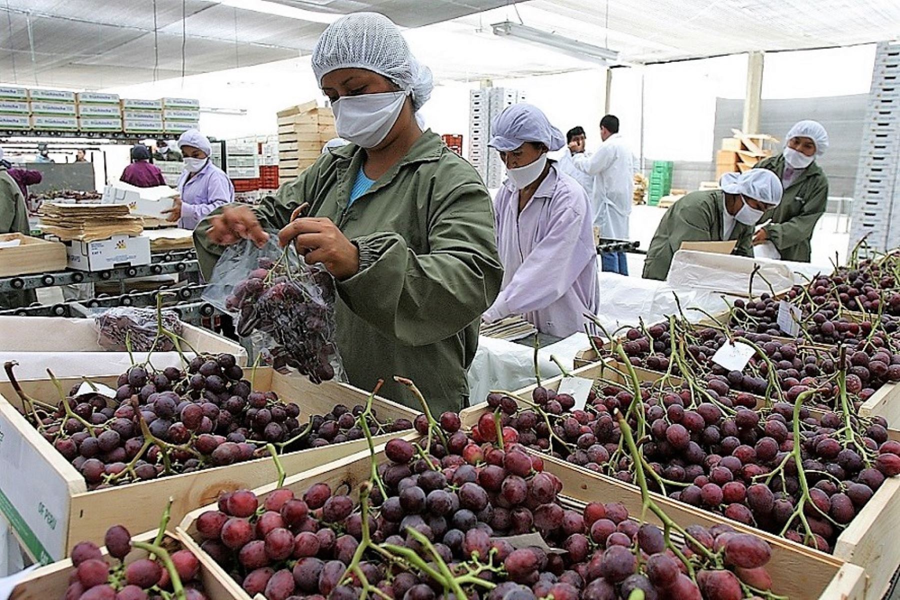 FMI: Perú es el cuarto país con menor crecimiento económico en América Latina