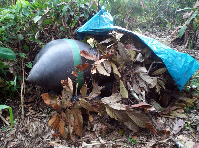 Incautan insumos químicos y hoja de coca ilegal