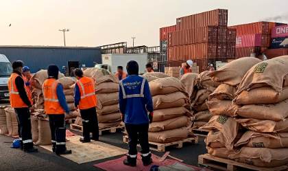 Gorehco: Exportaciones de Huánuco alcanzan US$ 82.8 millones y crecen 132.9 % en 2025