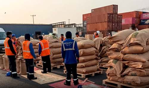 Gorehco: Exportaciones de Huánuco alcanzan US$ 82.8 millones y crecen 132.9 % en 2025