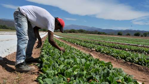 Beneficiarán a productores agropecuarios afectados por el estado de emergencia