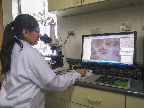 Prociencia financia proyectos de investigación en Huánuco por casi S/ 3 millones