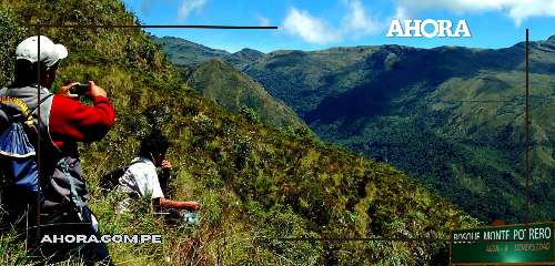 Semana Forestal de Huánuco impulsa reforestación y educación ambiental