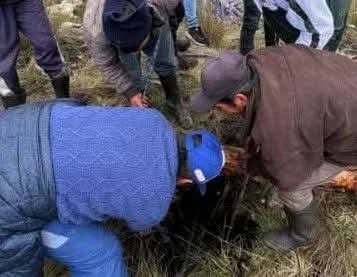 Milagroso rescate en Baños: hombre sobrevive tras caer a hueco de más de 20 metros
