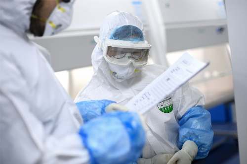 Alarma. Un virus de gripe porcina causaría nueva pandemia