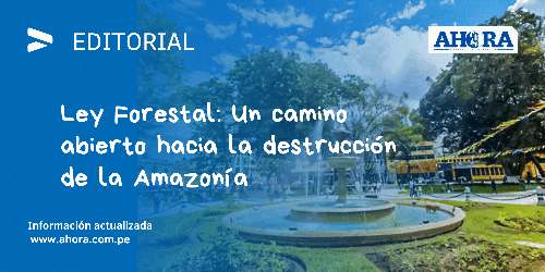 Ley Forestal: Un camino abierto hacia la destrucción de la Amazonía