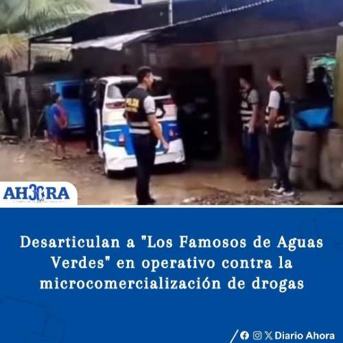 Desarticulan a "Los Famosos de Aguas Verdes" en operativo contra la microcomercialización de drogas