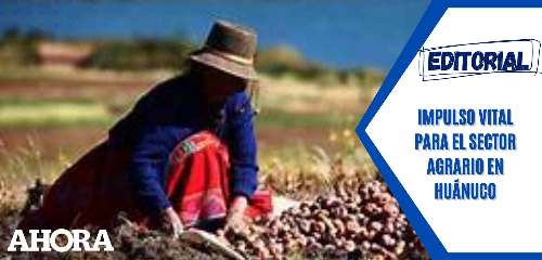 Impulso vital para el Sector Agrario en Huánuco