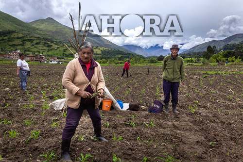 Fiscal no asistió a diligencias por disputas de terrenos en Quicacán