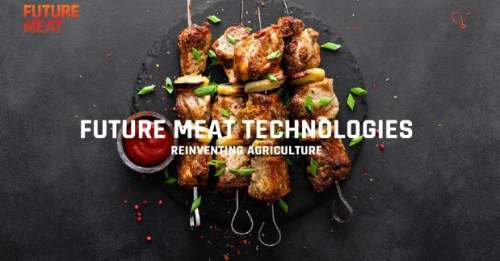 ¿Qué es la carne artificial o carne cultivada y qué futuro tiene?