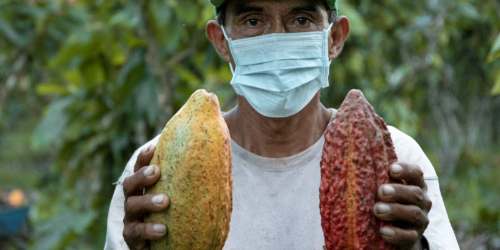 Productores de cacao de Huánuco impresionan a inversionistas internacionales