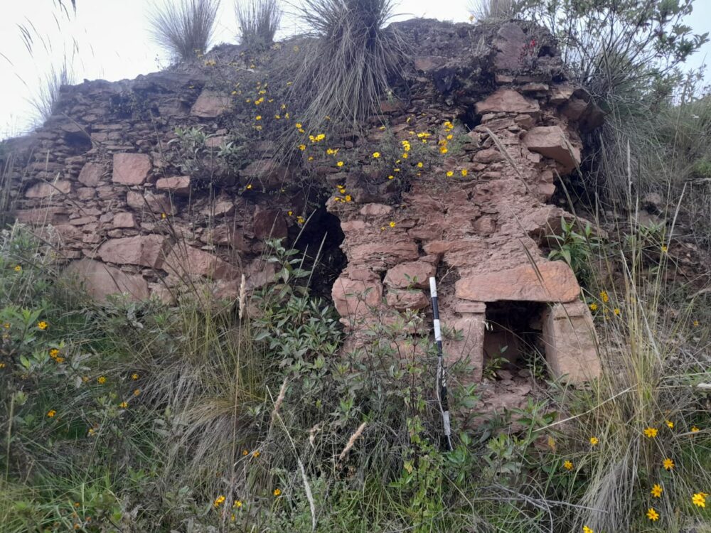 Hallan ciudadela prehispánica en la provincia Daniel Alcides Carrión