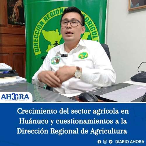 Crecimiento del sector agrícola en Huánuco y cuestionamientos a la Dirección Regional de Agricultura