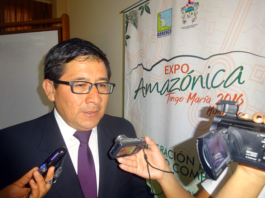 Reconocen que Tingo María  no cubre capacidad hotelera