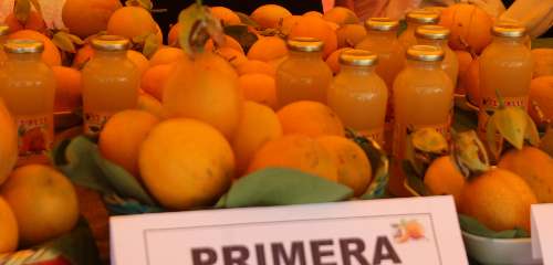 Festival de la Granadilla 2023 concluye con éxito en Oxapampa